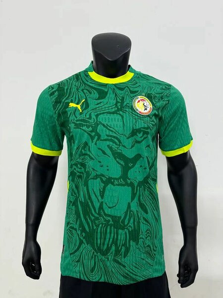 Maillot de Football Sénégal