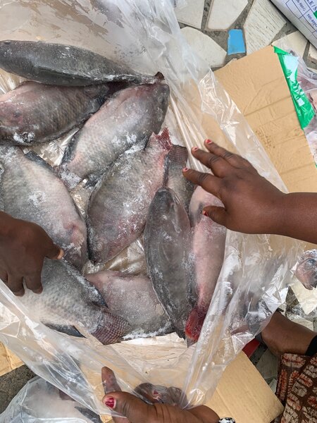 Tilapia (Carpe braisé)