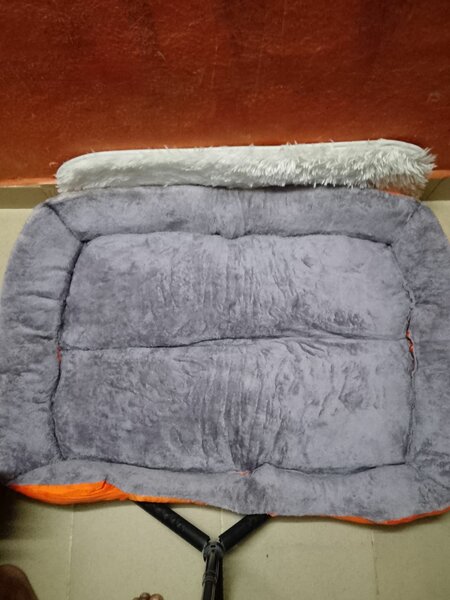 Lit pour animaux XL imperméable