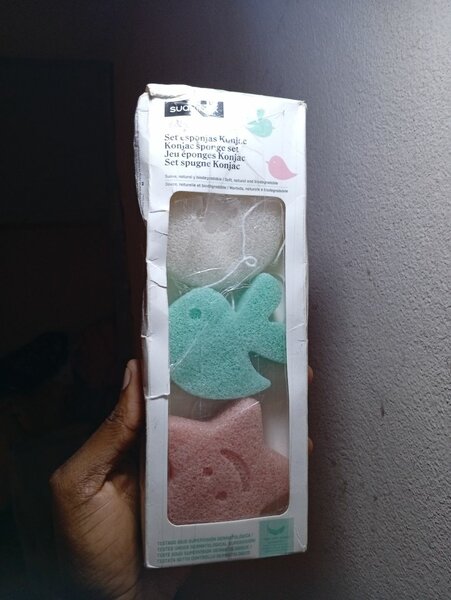 Éponges Konjac Animaux