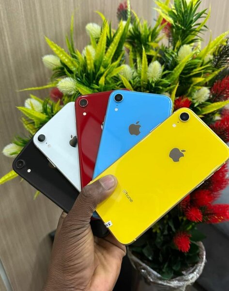 iPhone XR multicolore