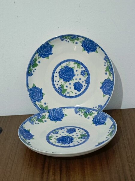 Assiettes en porcelaine