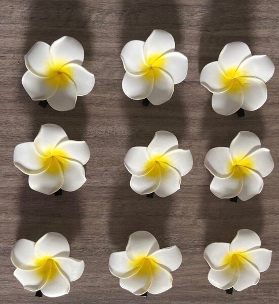 Clips fleurs Plumeria élégantes