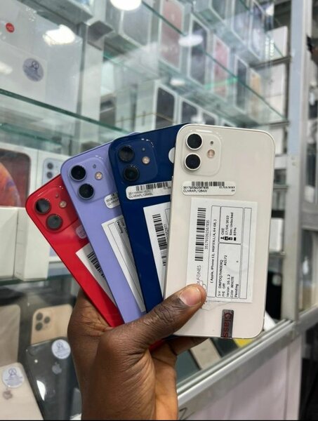 iPhone 12 Coloré Neuf