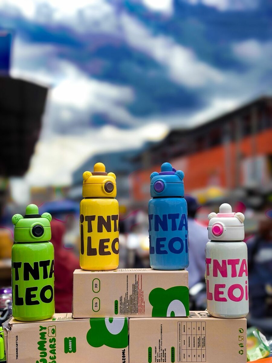 Gourdes Isolées en Acier Inoxydable