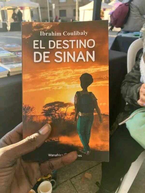 "El Destino de Sinan" - Roman captivant