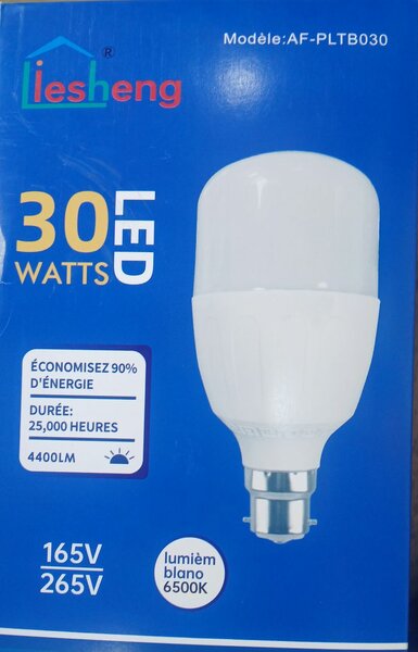 Ampoule LED 30W Economique