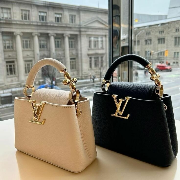 Louis Vuitton Handbag
