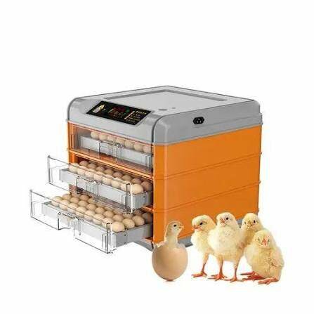 Incubateur  192 œufs automatiq