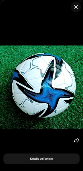 Ballon de Football Professionnel