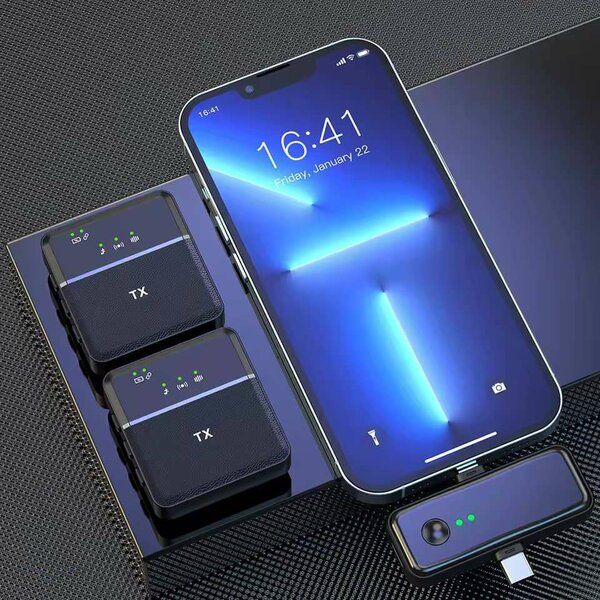 Double microphone sans fil