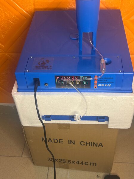 Incubateur Automatique 36 Œufs