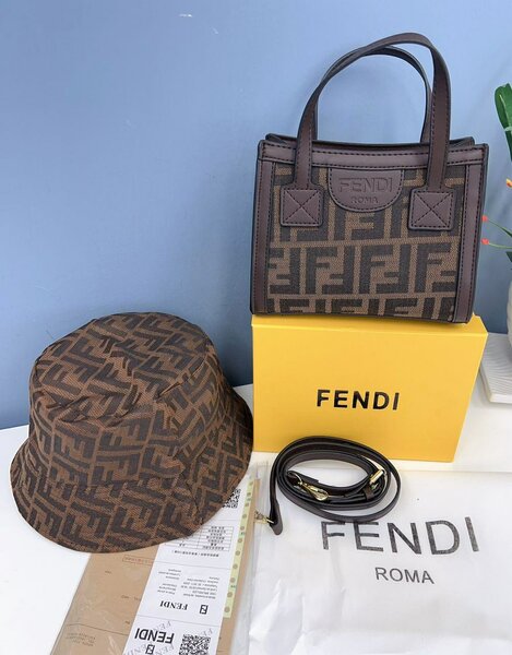 Gucci and Fendi bag