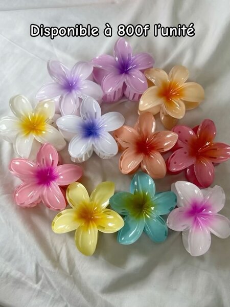 Lot de pinces à cheveux colorées