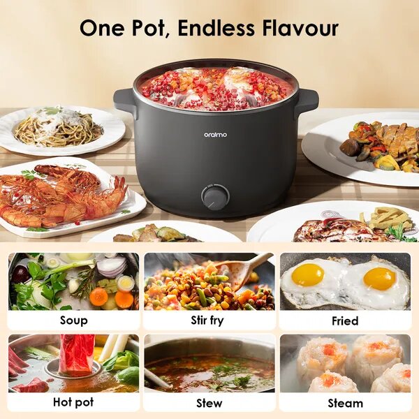 Oraimo Multifunctional Cooker
