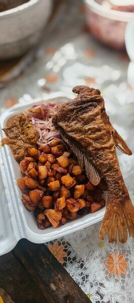 Plat de poisson frit et alloco