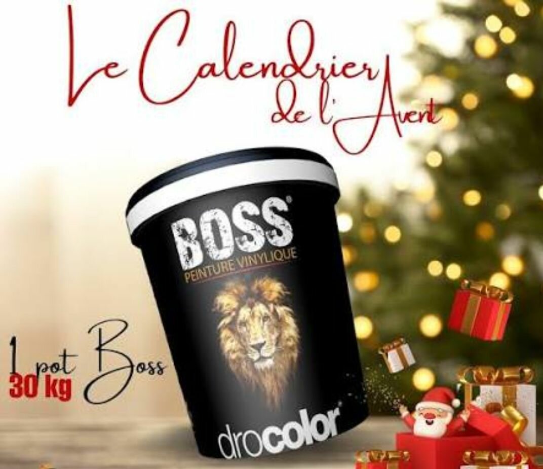 Peinture Vinyle Boss 30kg