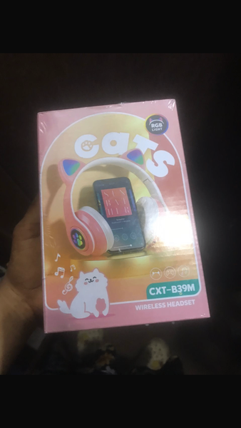 Cat headphone