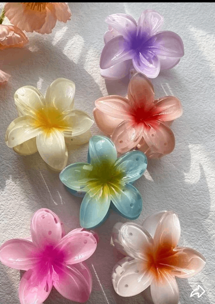 Épingles à cheveux fleurs colorées
