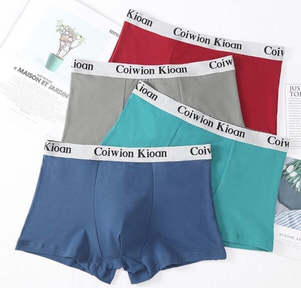 4Pcs Men's Underwear Breathable Comfortable Cotton Strench B