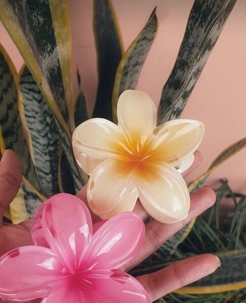 Pinces à cheveux fleurs tropicales