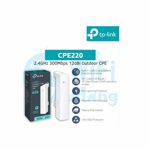 TP-Link CPE220 Point D'Accès