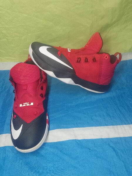 LeBron ambassador IX