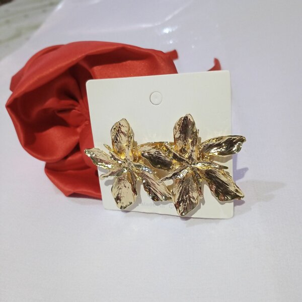 Elegant Stainless Steel Earrings - Non Fading