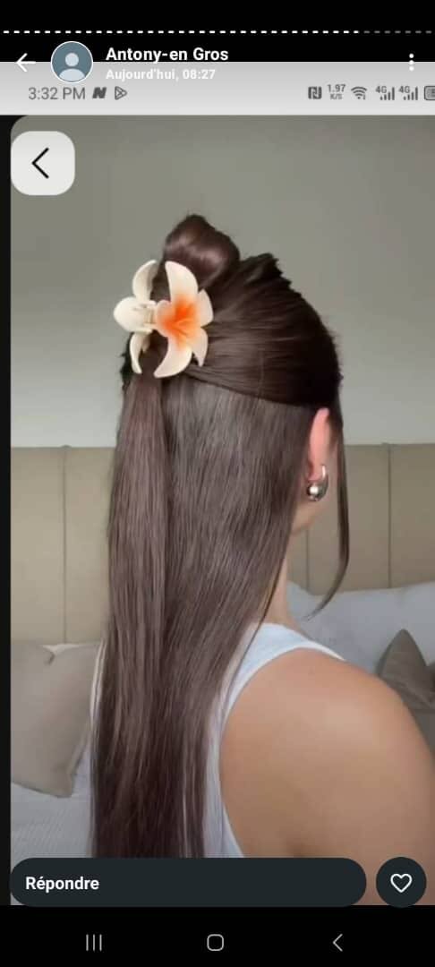 Pince à cheveux fleurie élégante