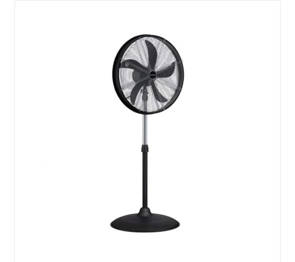 Crown standing fan