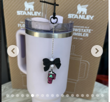 Stanley Cup Accessories