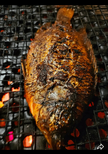 Poisson grillé savoureux
