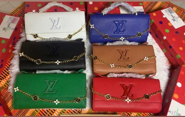 Sacs à main LV en coffret