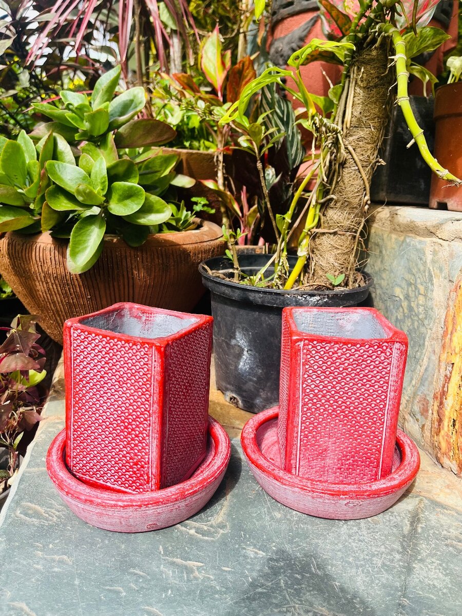 Garden Pots