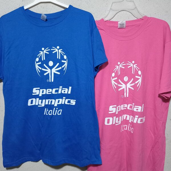 2 T-shirts friperie 1er choix