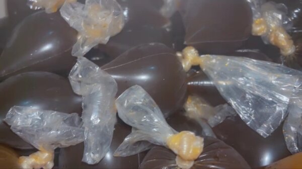 Mélange de 30jus bio naturel