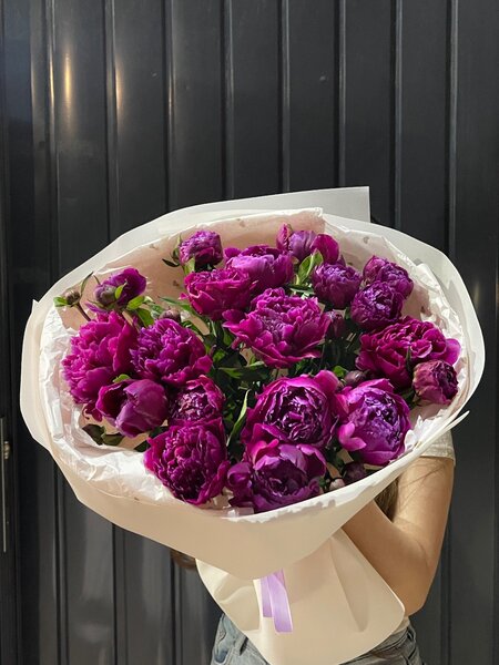 Пионы в сезоне