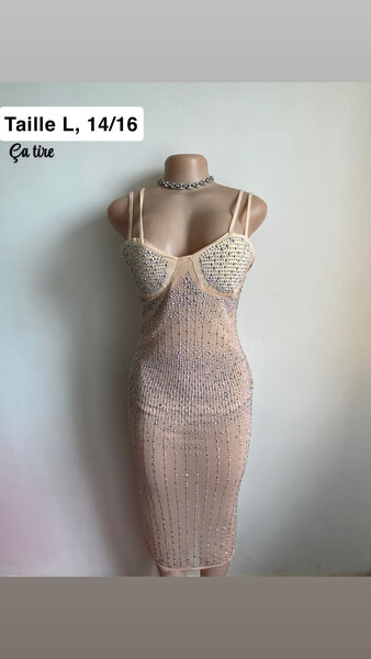 Sparkly Sheer Bodycon Dress
