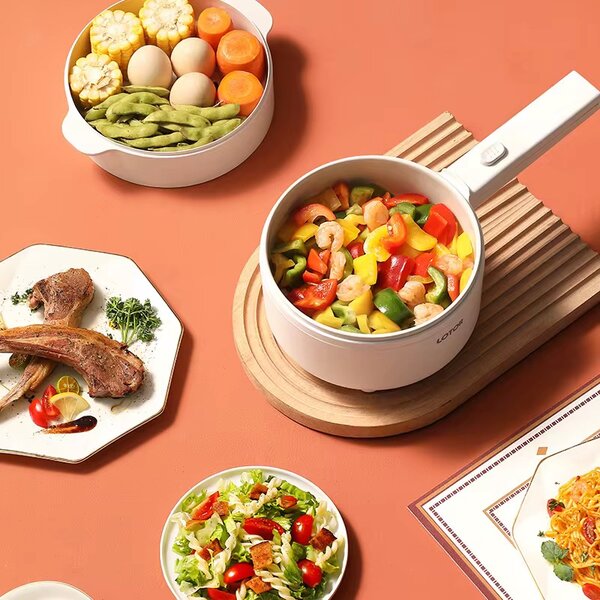 Casserole électrique multifonction