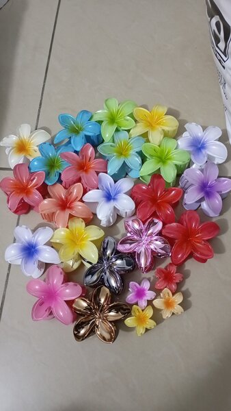 Fleurs décoratives colorées