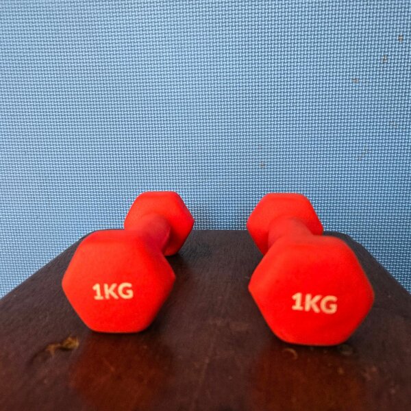 Paire Haltères 1kg
