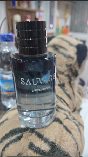 Parfum Sauvage Homme