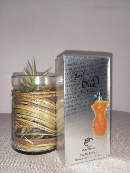 Parfum Just Blue Pour Femme 100ml