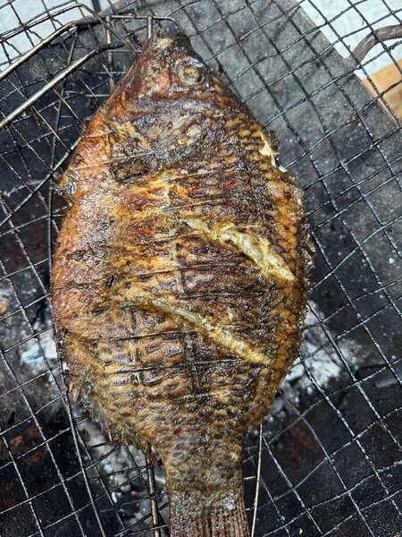 Poisson braisé (gros)