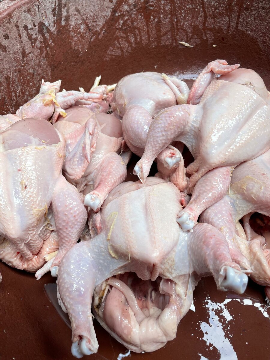 Poulet Frais Prêt à Cuisiner