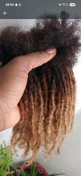 Extensions  microlocks humains