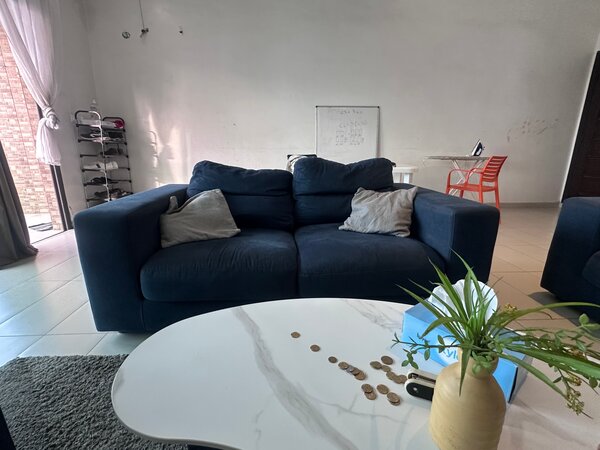 Plush Blue Sofa Set