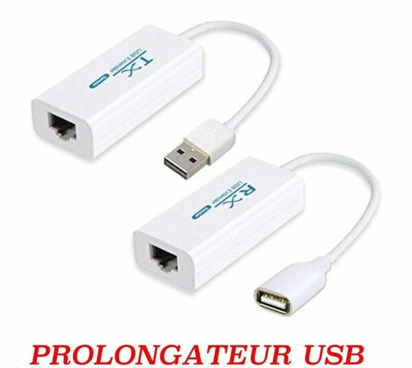 Rallonge USB avec adaptateur RJ45