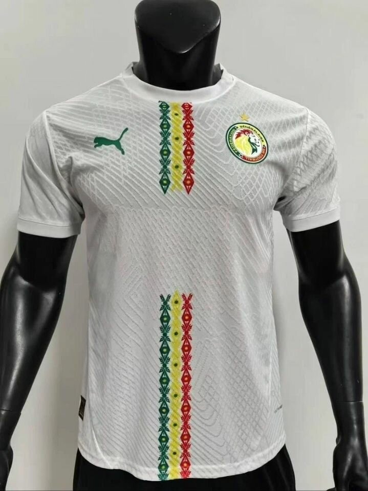 Maillot Sénégal Puma 2025