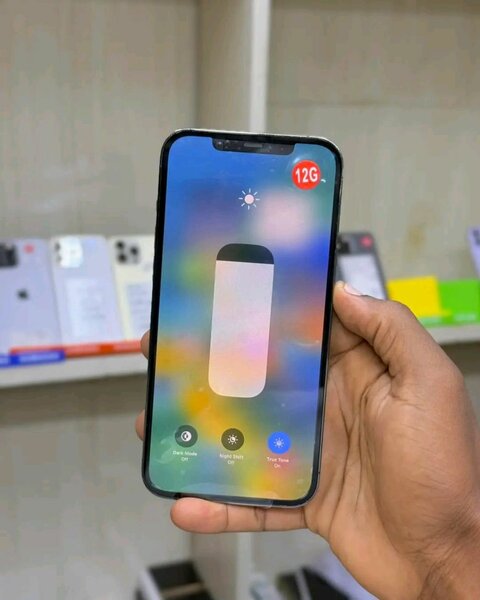 iPhone 12 Pro Max 128GB Gris